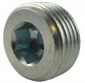 DIN906 Closing Screw, Whitworth-Thread conical - Steel zinc plat